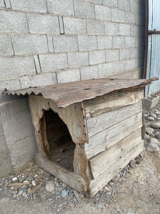 Продам  собачие бутки