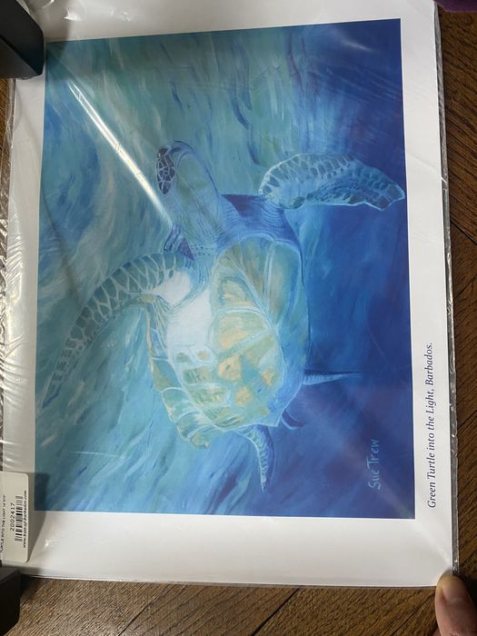 Картини/фотопринт от остров Барбадос