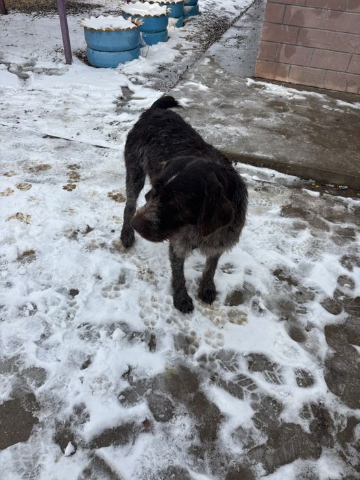 Продам драдхар кабель