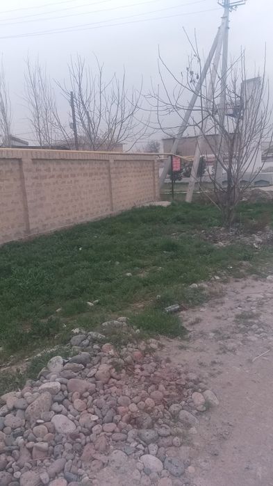 Yangihayot tumani Binokor maxalasida 5 sotik er sotiladii