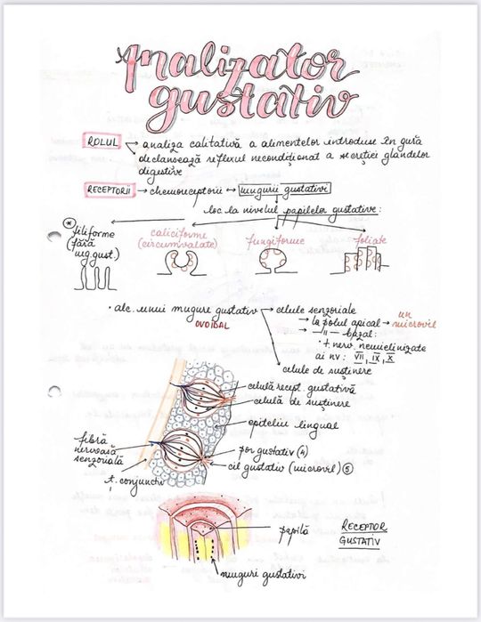 Notițe admitere medicină - biologie