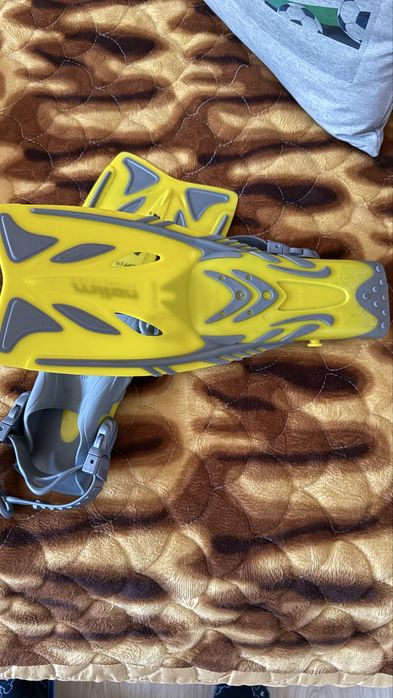 Labe inot copii si palmare