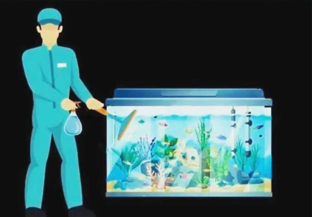 Профессиональная чистка аквариума AQUALIFE
