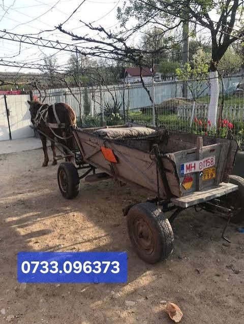 Vând căruță de valoare