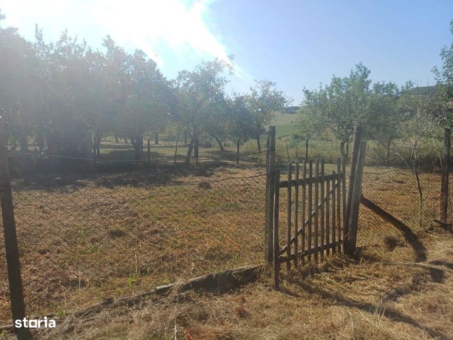 Zona Codrului, la numai 43 Km de Municipiul Baia Mare !