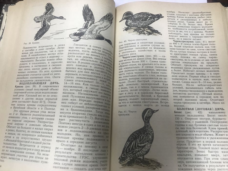 Справочник охотника