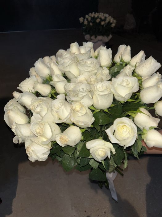 51 белый роза сатылады