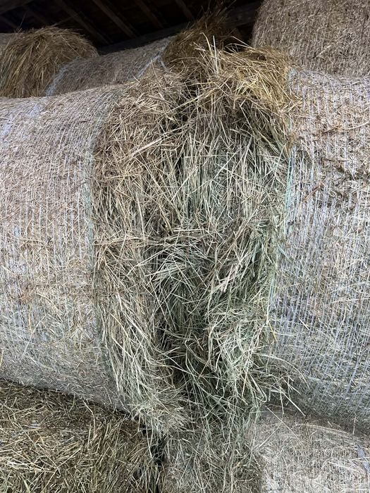 Fân/baloti rotunzi 130/130