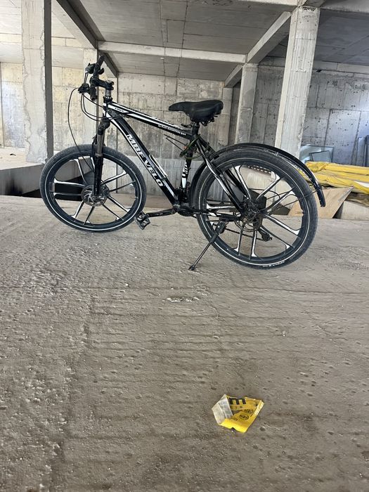 Velik gonchik sotiladi sirochna