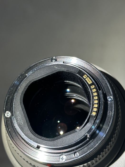 Canon 70-200 EF 2.8 1v