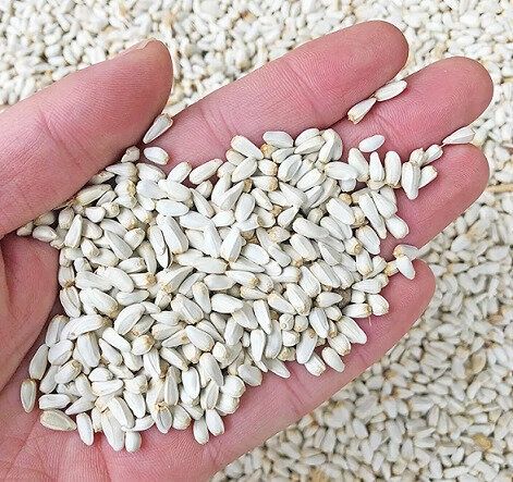 Рапс.Платный чат!Все корма.