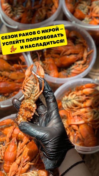 Морепродукты раки и креветки