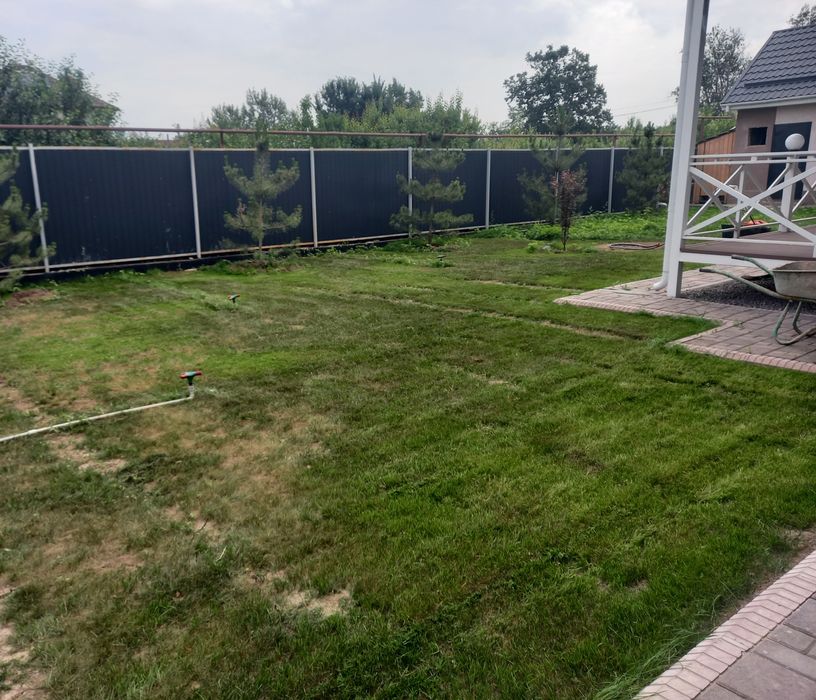 Покос травы. Разнотравие. Газон.