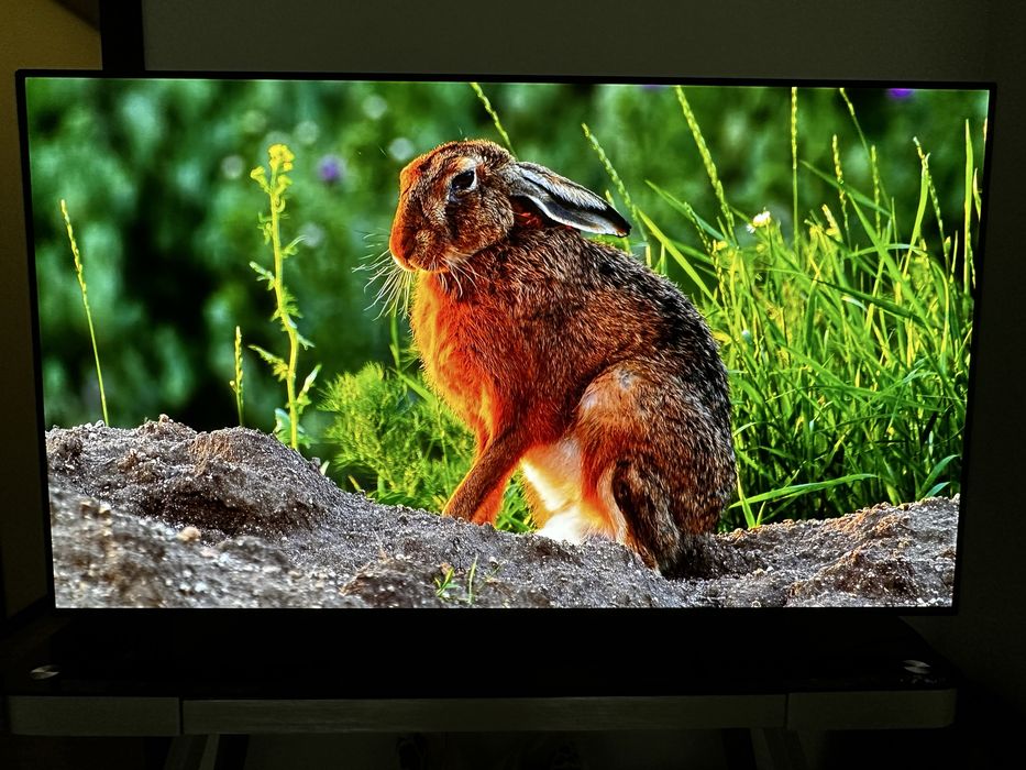 LG 55 инча 4К смарт олед