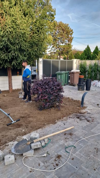 Plante ornamentale diversificate orice specie