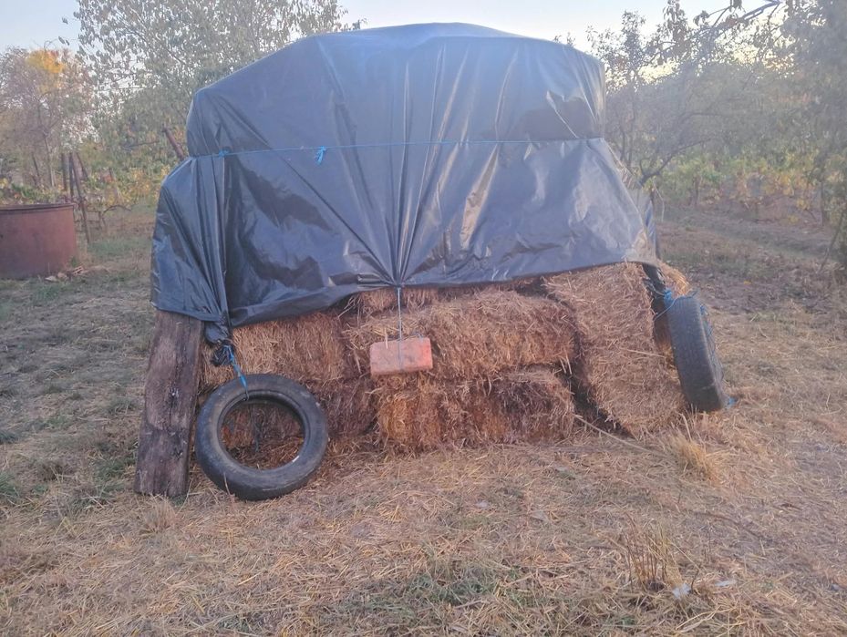 Balot de vanzare de grâu 10 lei