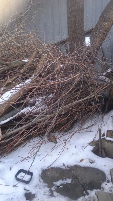 Отдам древесину. Бесплатно