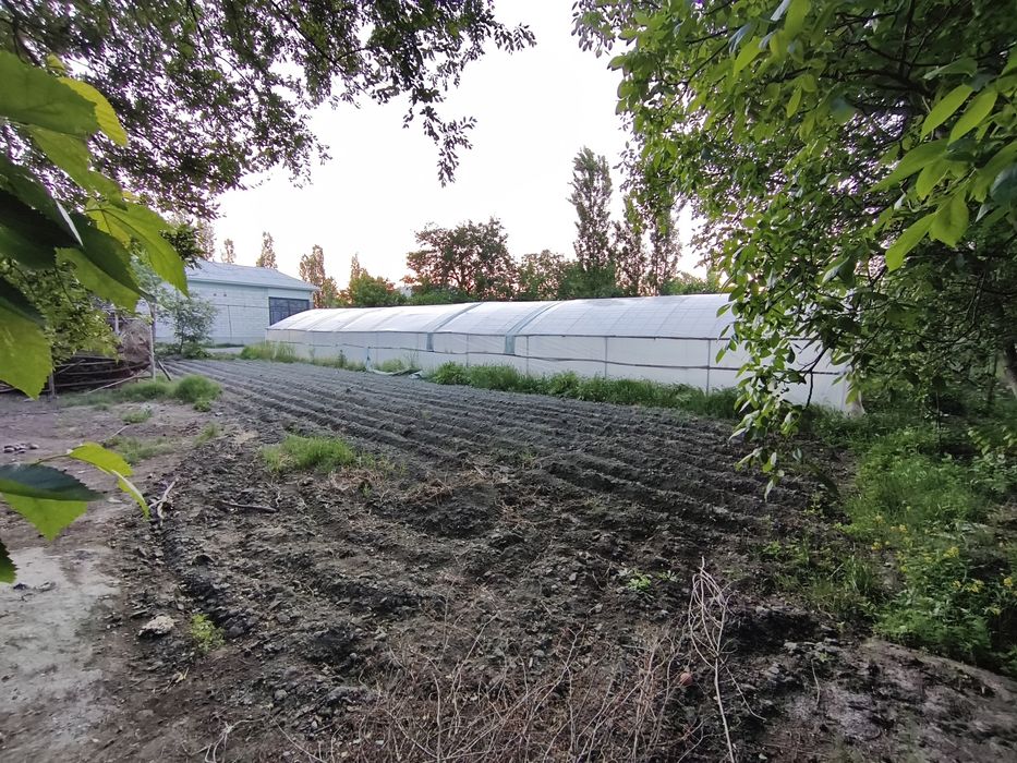 Srochno yer sotiladi