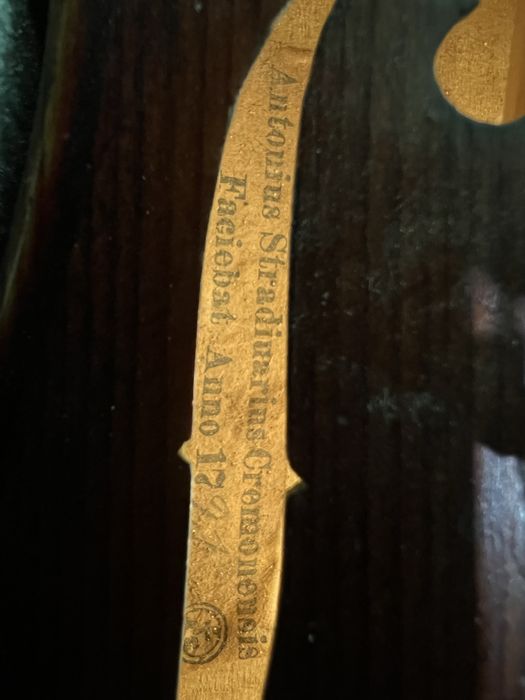 Skripka 4/4 germanskiy masteravoy