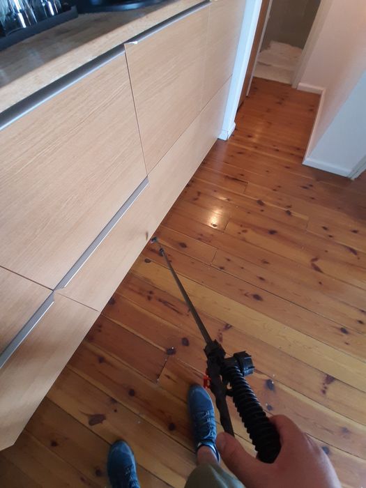 Dezinsectie, Dezinfectie, Deratizare - Servicii DDD - Contract DDD- Bu