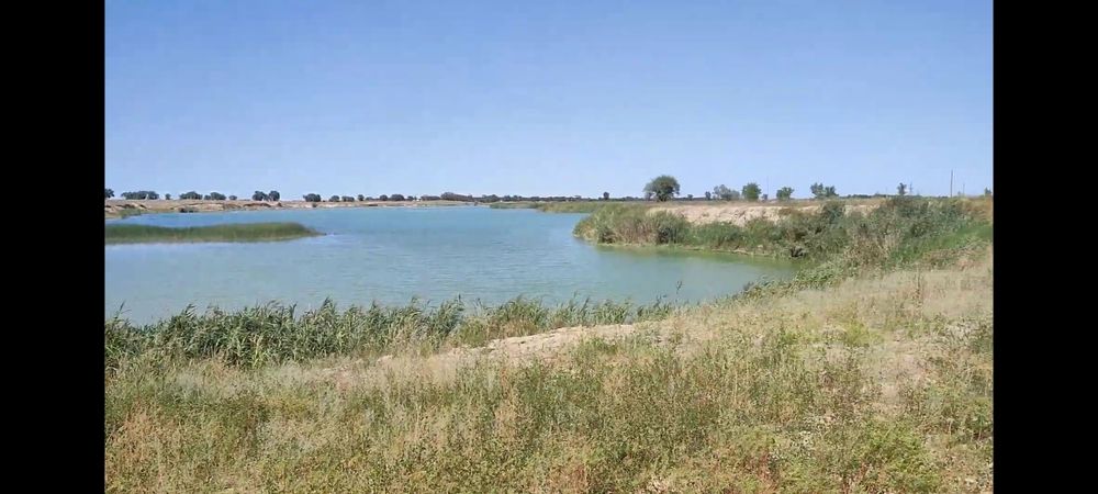 Участок 12 соток