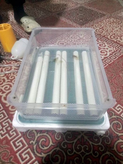 36талик Инкубатор сотилади