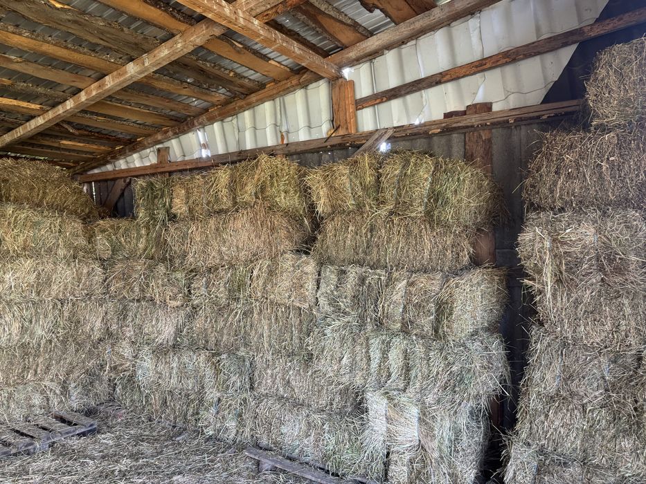 Baloti lucerna si fan prima coasa si a doua coasa si paie