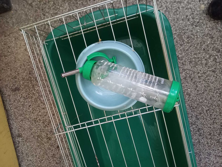 Клетка за заек + пойлката за вода + купичка