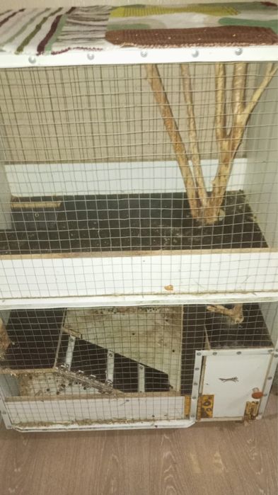 Клетка для животных