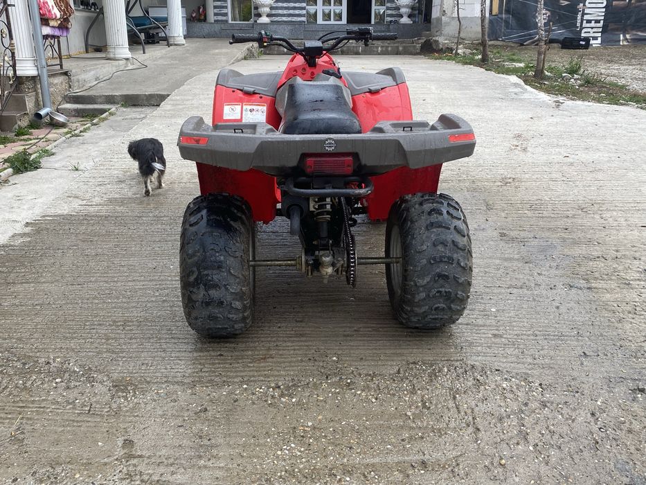Vand sau schib can am 250 cc