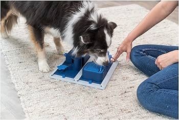 Joc de strategie mancare caini Trixie