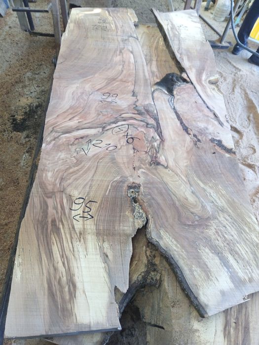 Blaturi mese deosebite