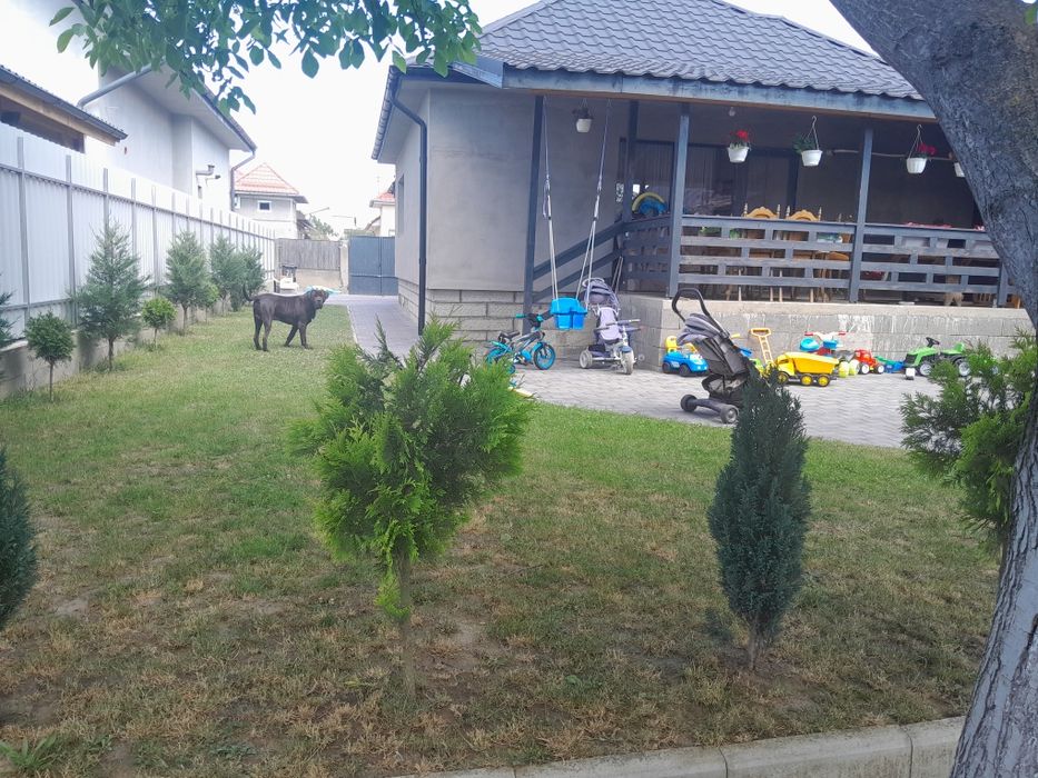 Casa de Vanzare...