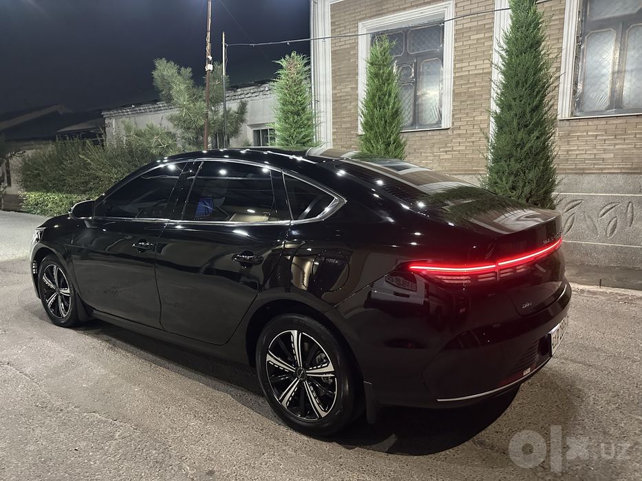 BYD chazor. 2023 full. 120 talik