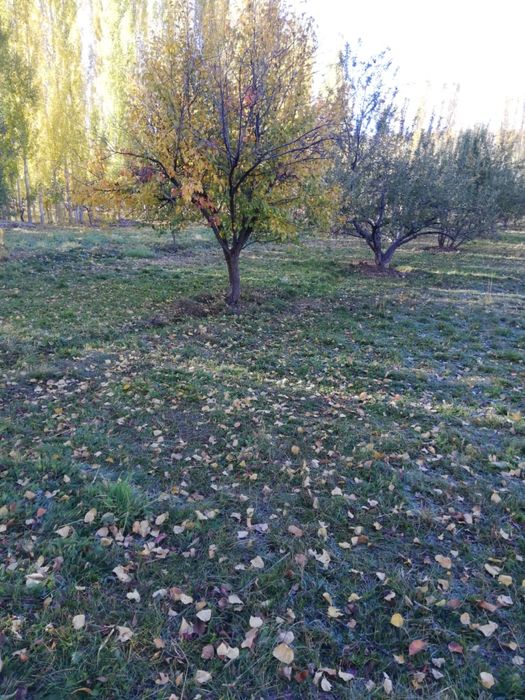 16 соттық жер сатылады