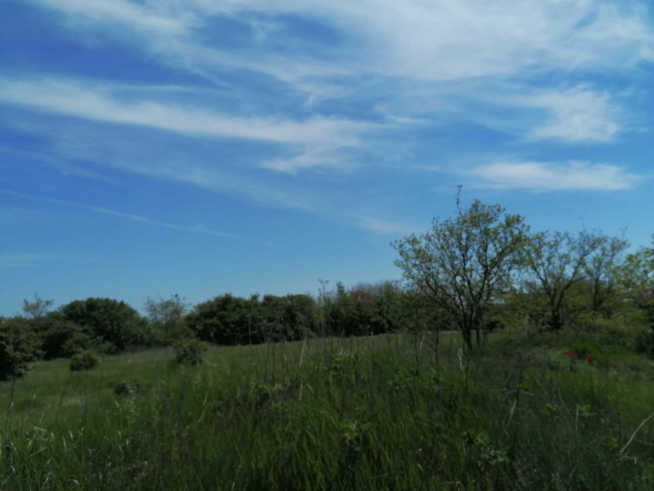 Парцел дворно място община Шабла, село Тюленово