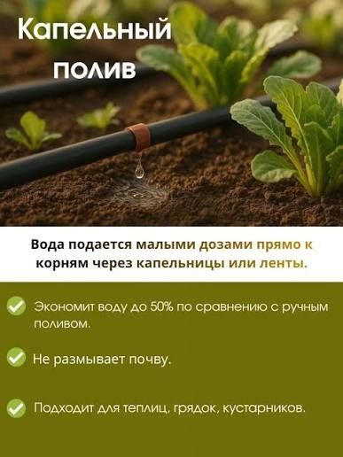 Озеленение авто полив
