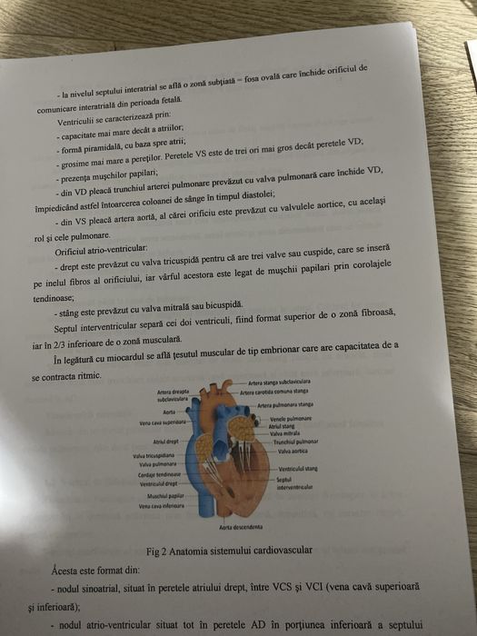 Vând proiect Ingrijirea pacientului cu hipertensiune arteriala
