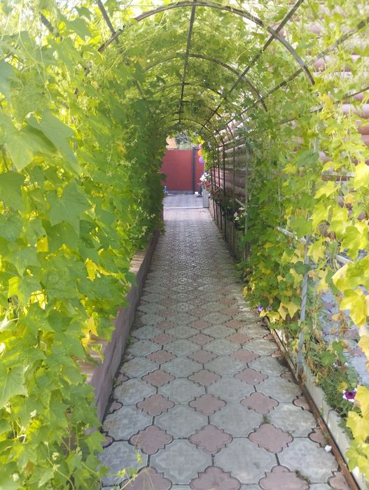 Сдам коттедж посуточно