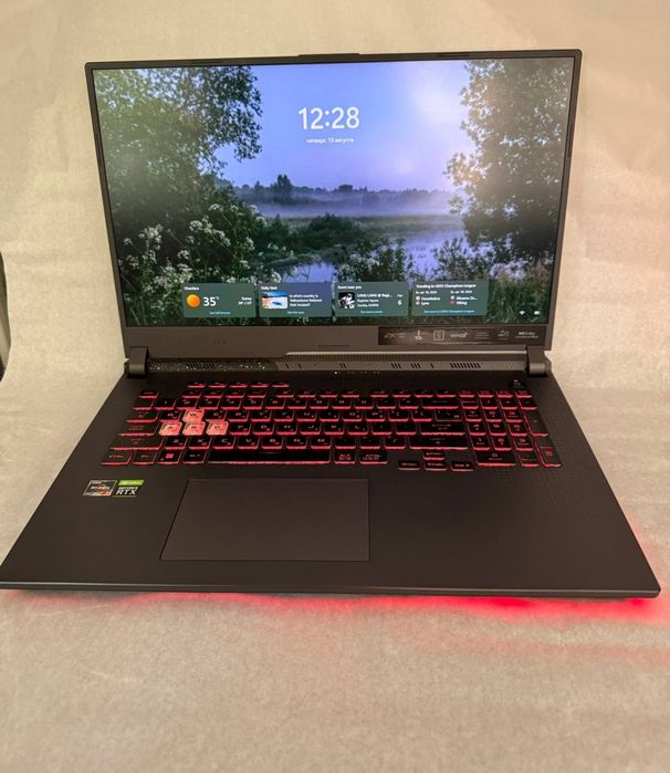 ASUS ROG Strix G17 G713RM