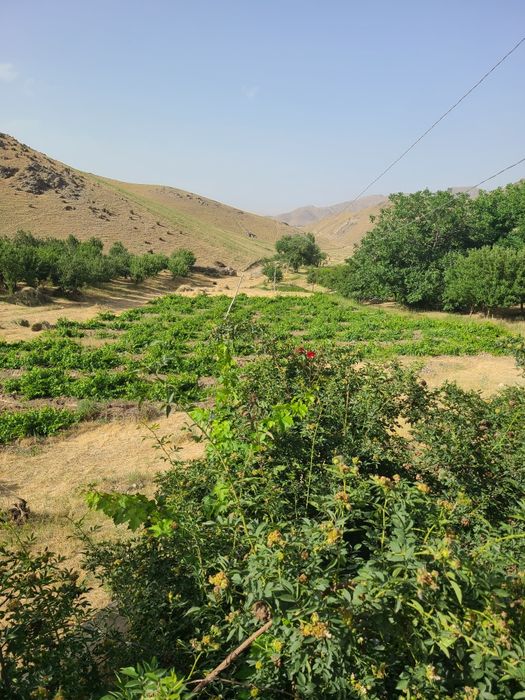 Дача участок ситилади