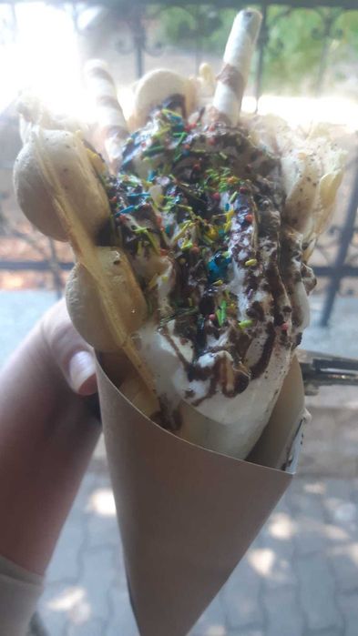 Vand rulota fast food complet echipata