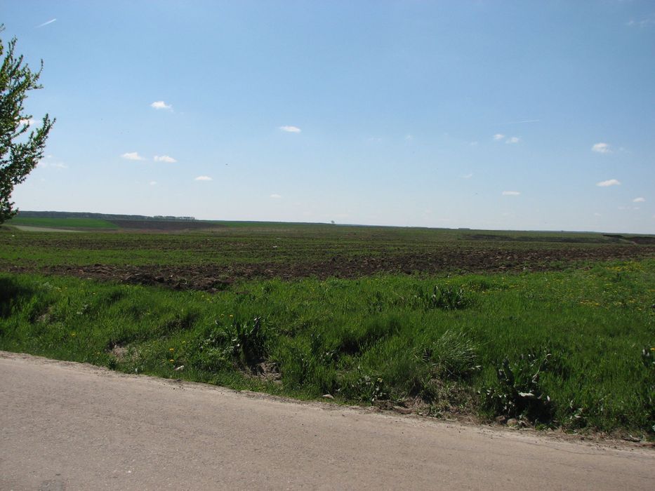 Vând 14.000mp 20 €/mp Petrăchioaia Lac pe o parte, drum pe cealaltă