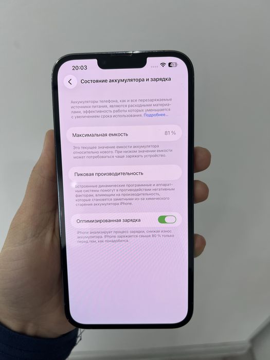 iPhone 13 Pro Max 256/81%