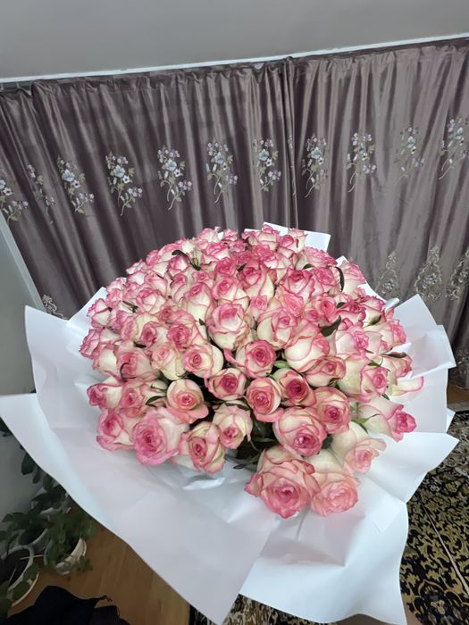 продам 101 розу