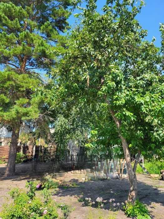 Продам или обменяю на авто дачу в с/о им. Мичурина.