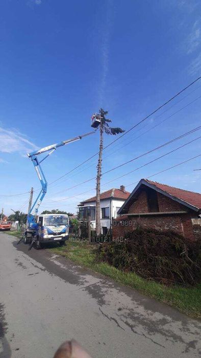 Услуги с вишка, рязане на опасни дървета, дробилка под наем.