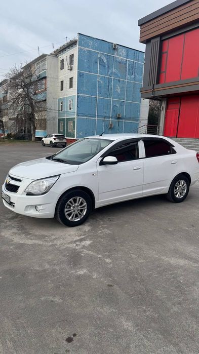 Cobolt 2023 sotiladi