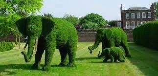 Живая Изгород и Бюричина