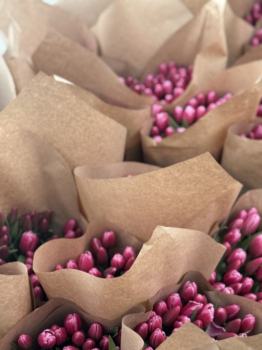 Тюльпаны круные